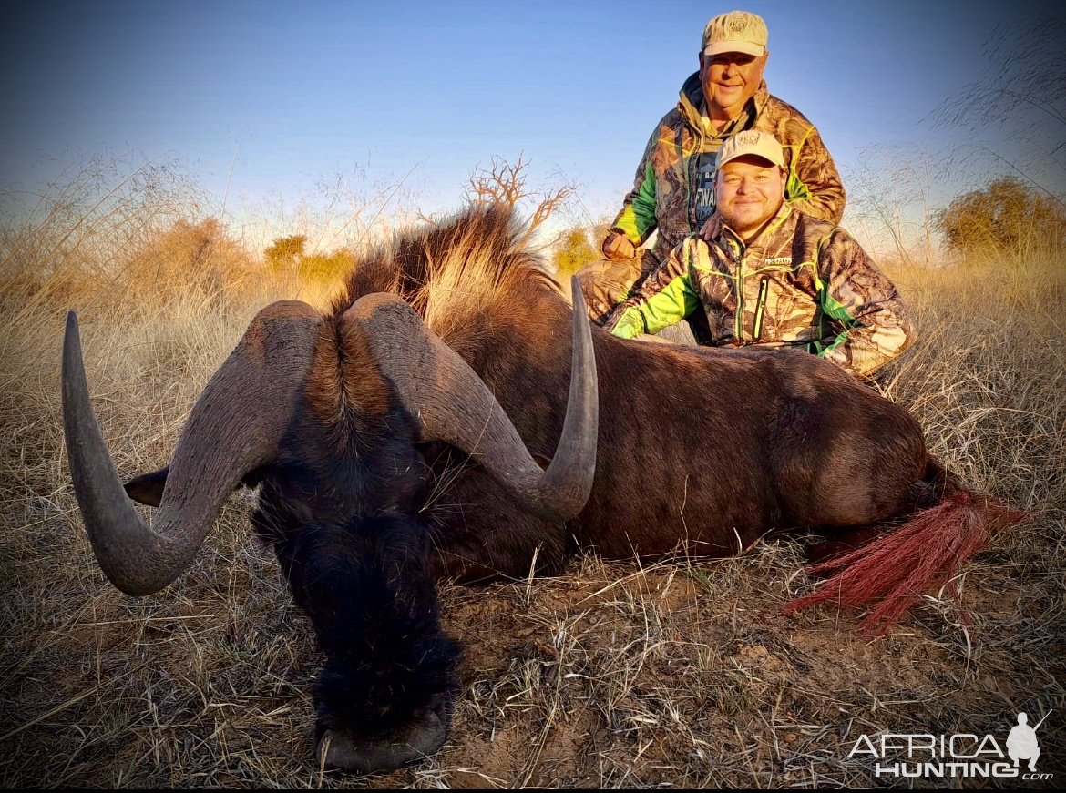 Black Wildebeest Hunt South Africa