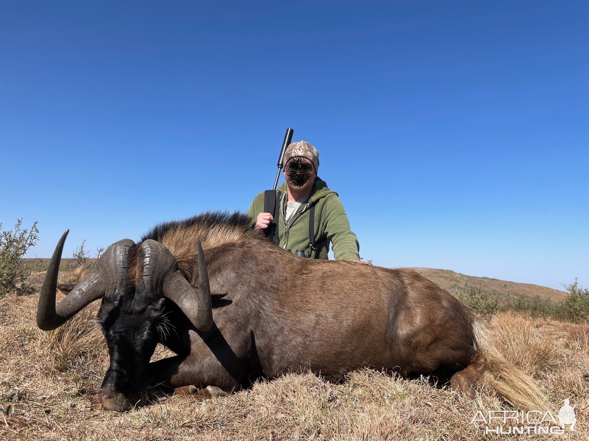 Black Wildebeest Hunt South Africa