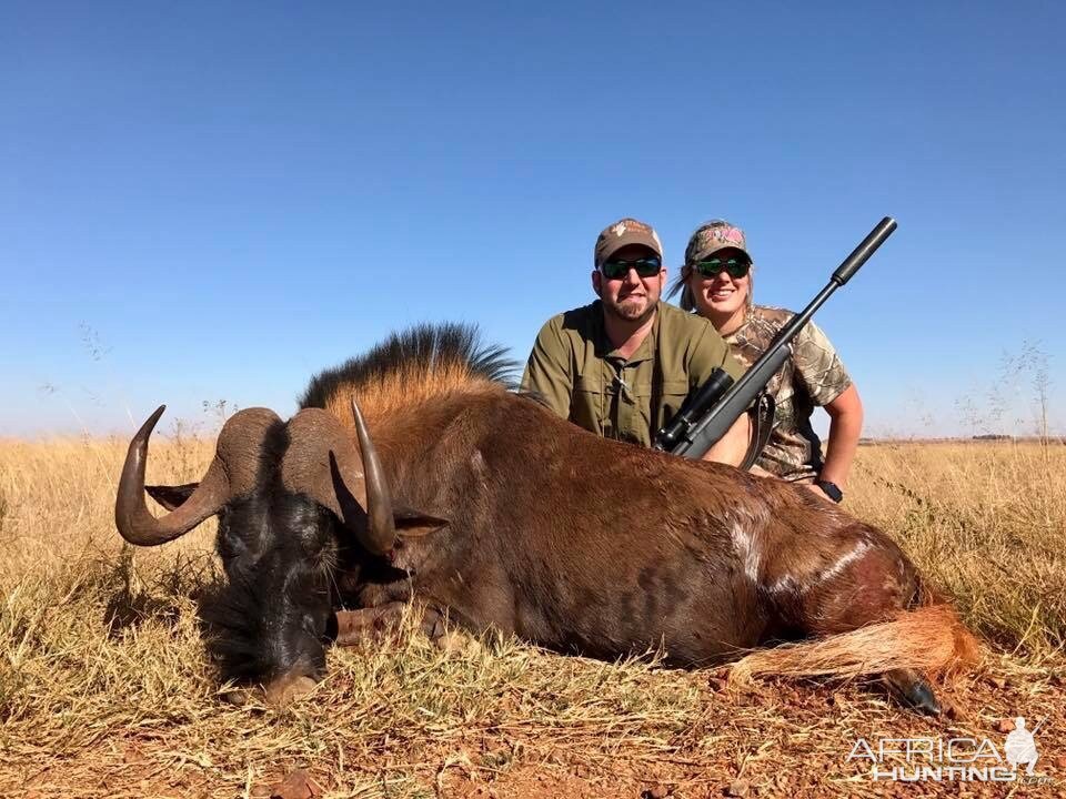 Black Wildebeest Hunt South Africa