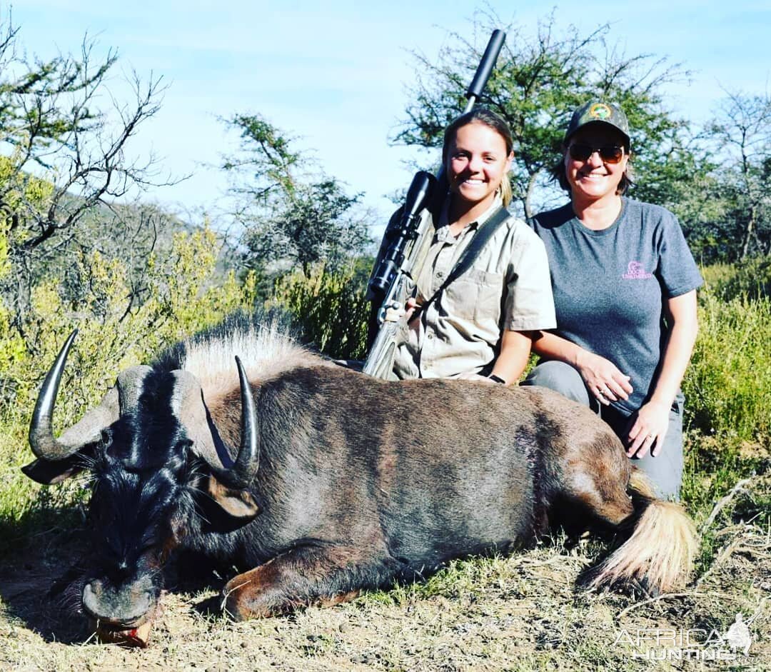 Black Wildebeest Hunt South Africa