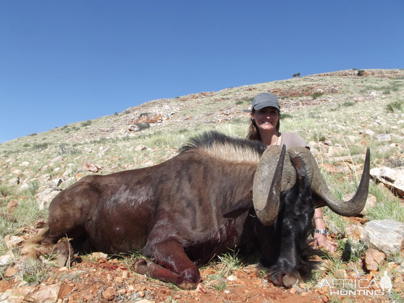 Black Wildebeest hunt with Wintershoek Johnny Vivier Safaris