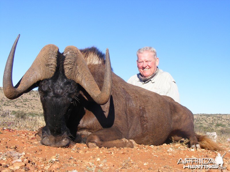 Black Wildebeest hunt with Wintershoek Johnny Vivier Safaris