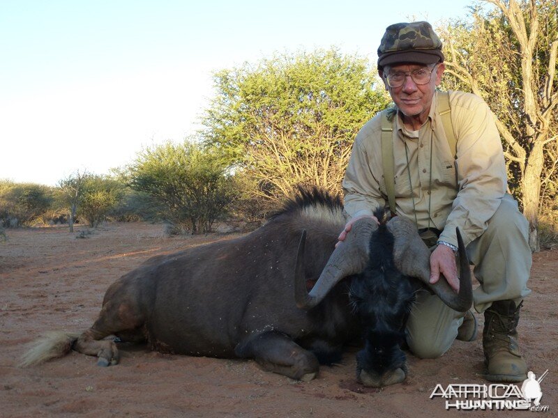 Black Wildebeest hunt with Wintershoek Johnny Vivier Safaris