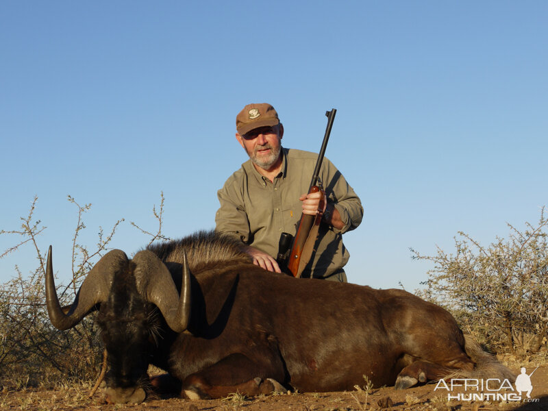 Black Wildebeest hunted with Ozondjahe Hunting Safaris in Namibia