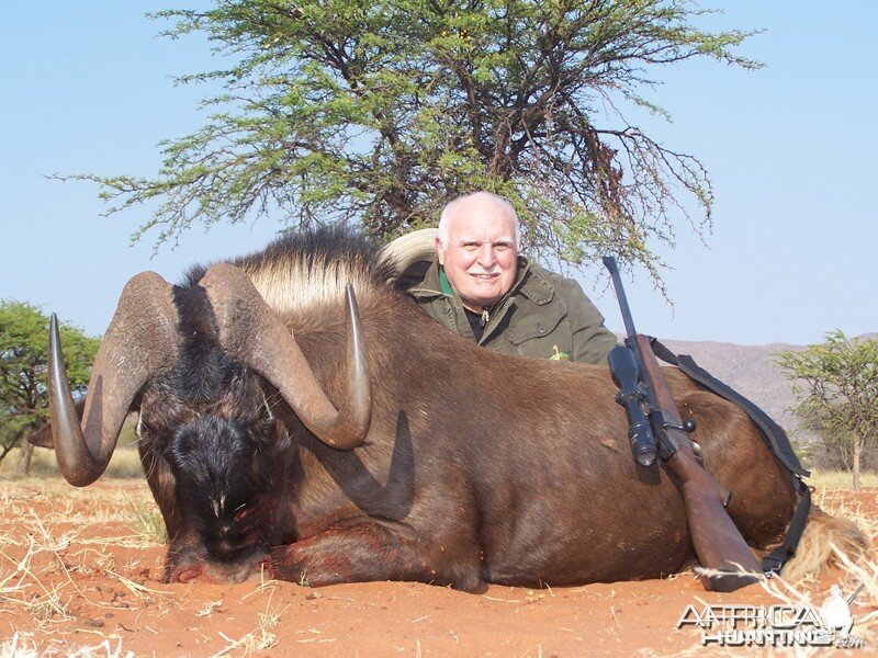 Black Wildebeest hunted with Wintershoek Johnny Vivier Safaris