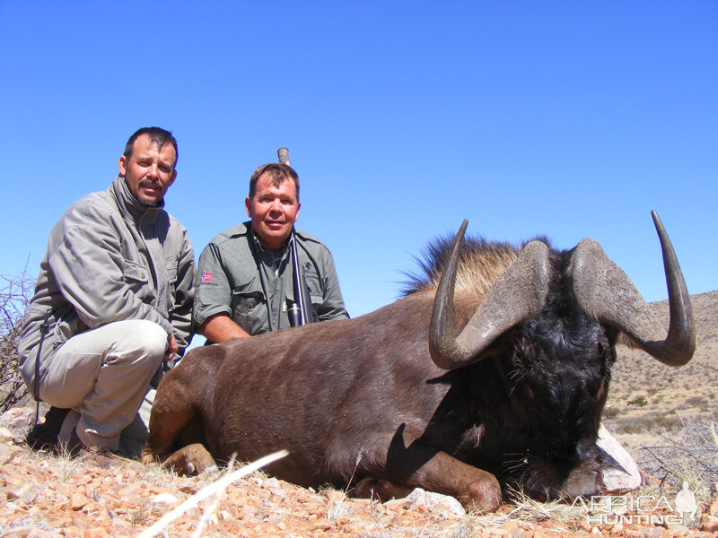 Black Wildebeest hunted with Wintershoek Johnny Vivier Safaris