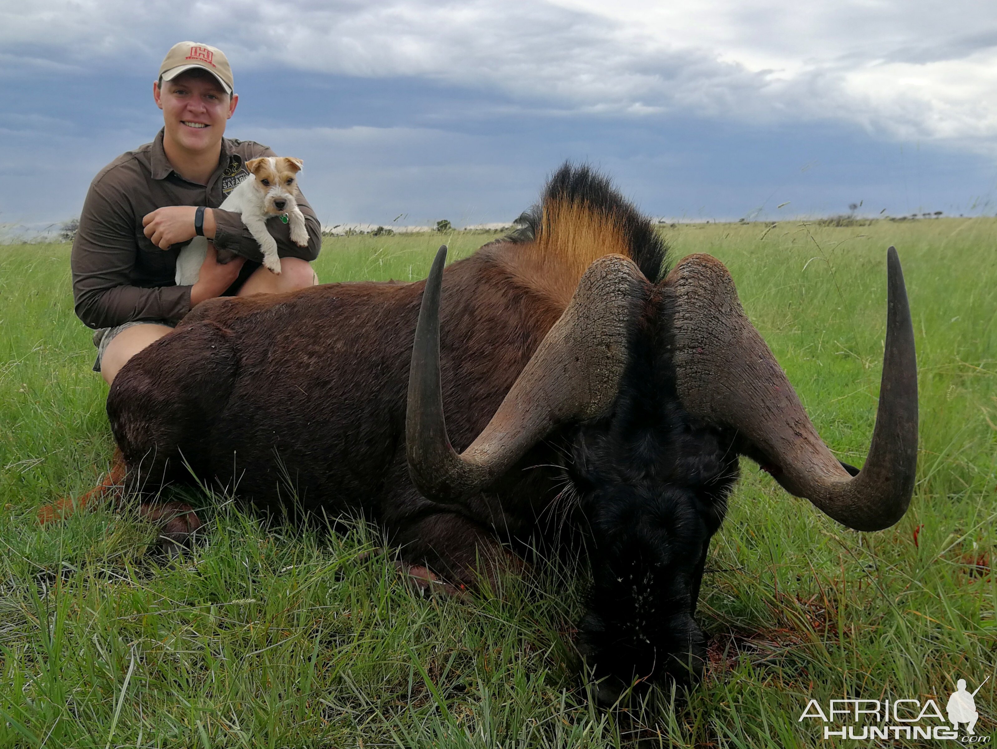 Black Wildebeest Hunting South Africa