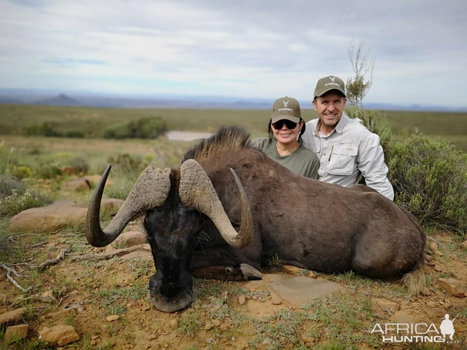 Black Wildebeest Hunting South Africa