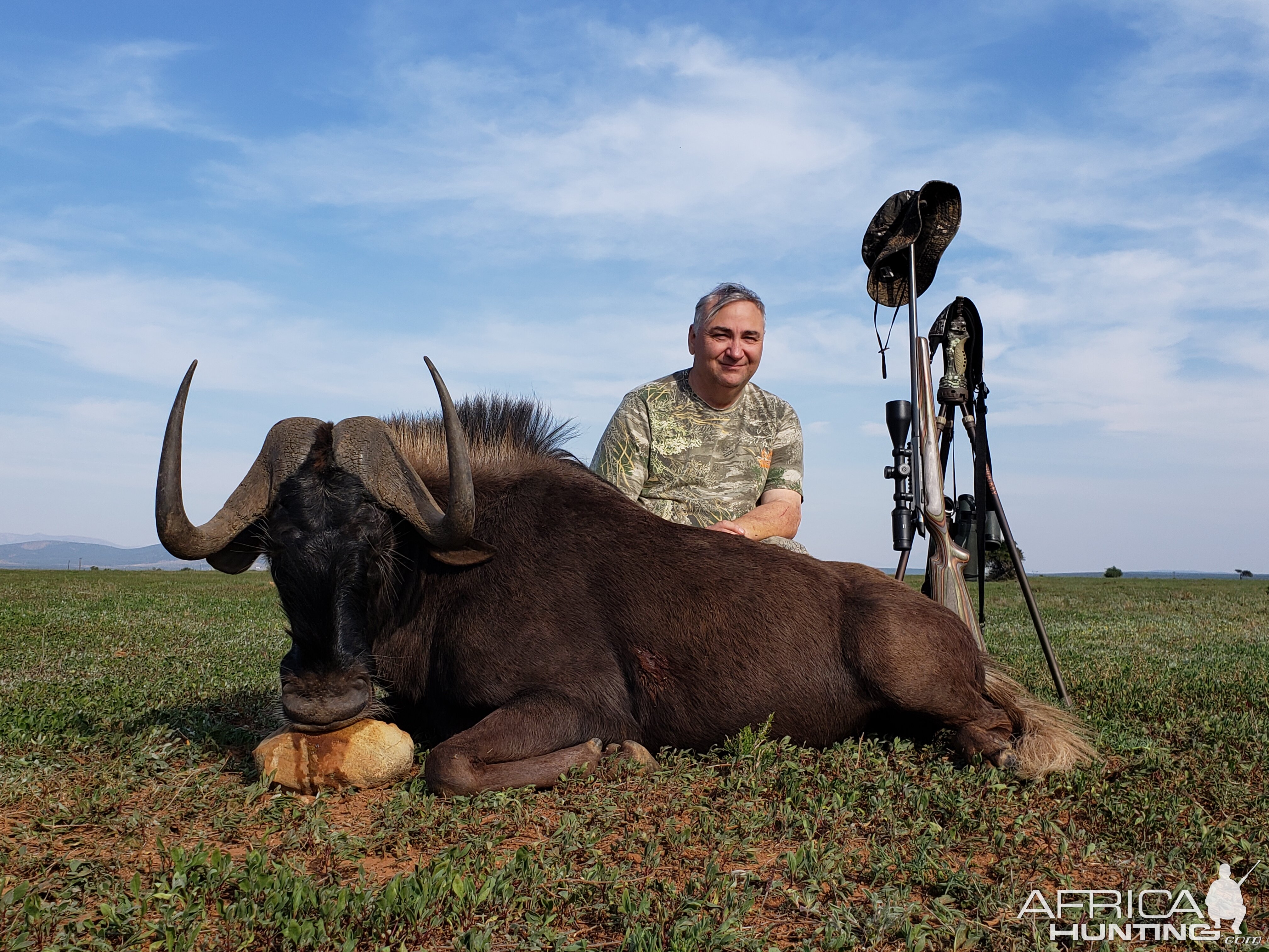 Black Wildebeest Hunting South Africa