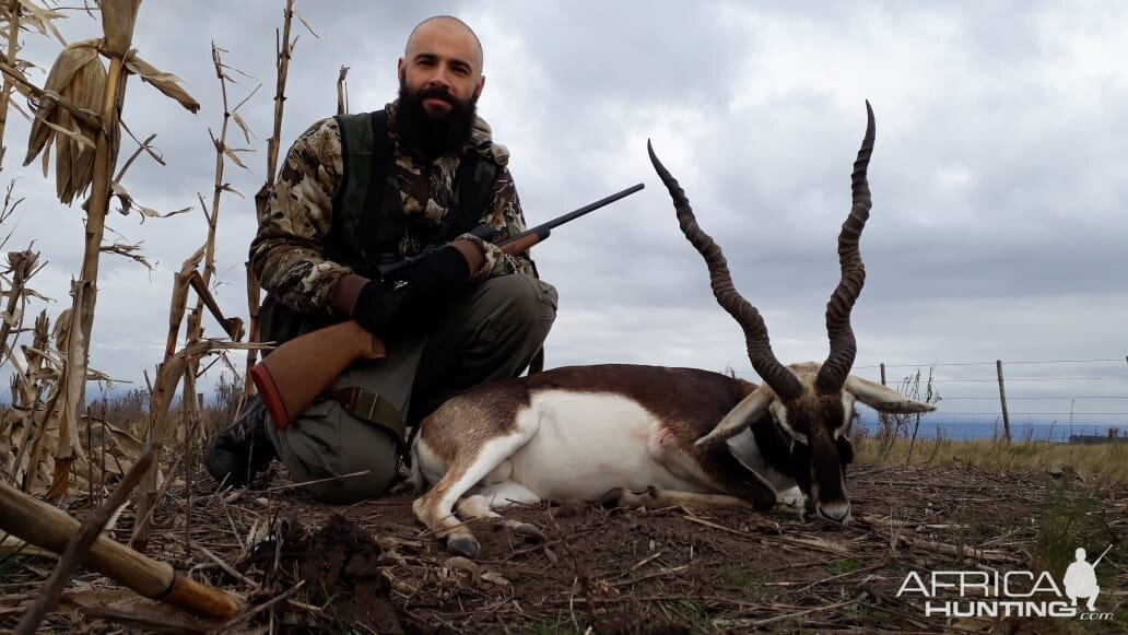 Blackbuck Hunt Argentina