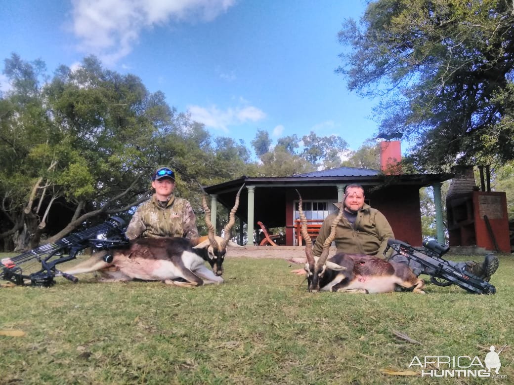 Blackbuck Hunt Argentina