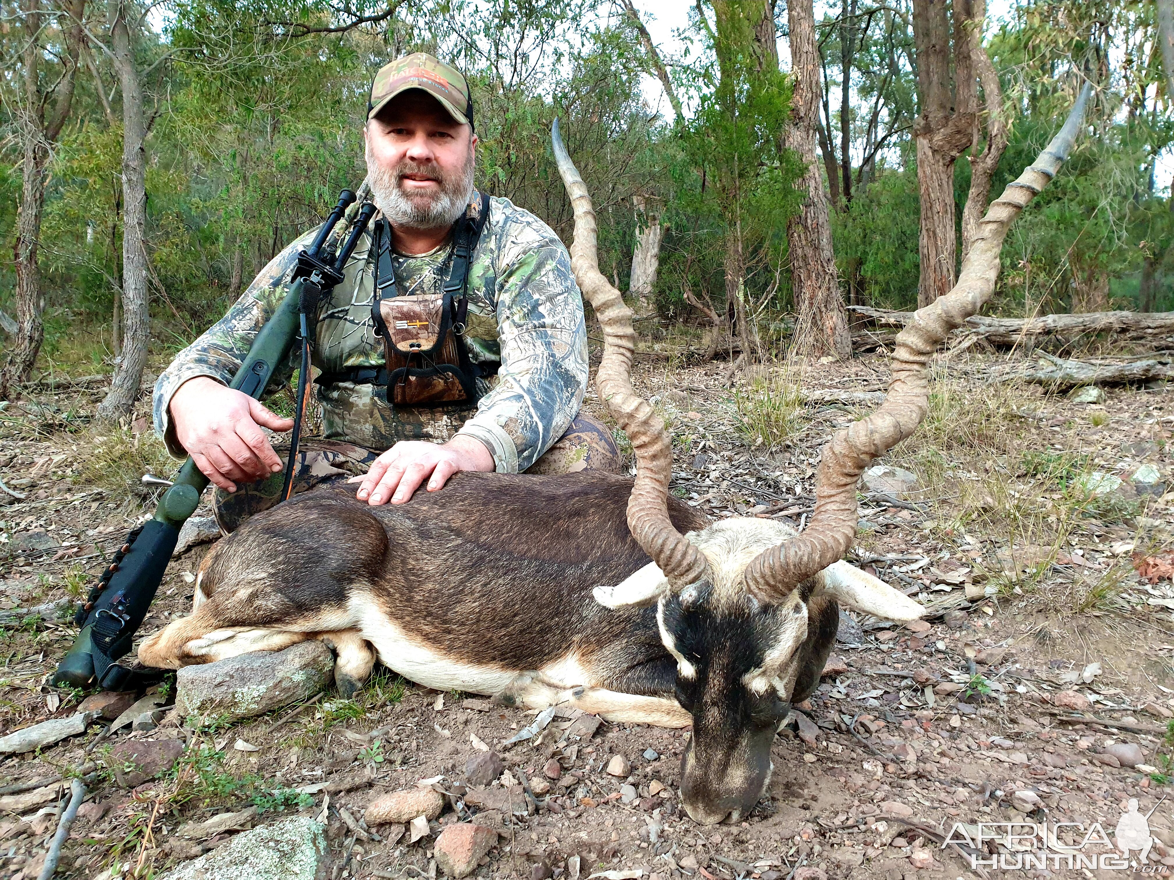 Blackbuck Hunt Australia