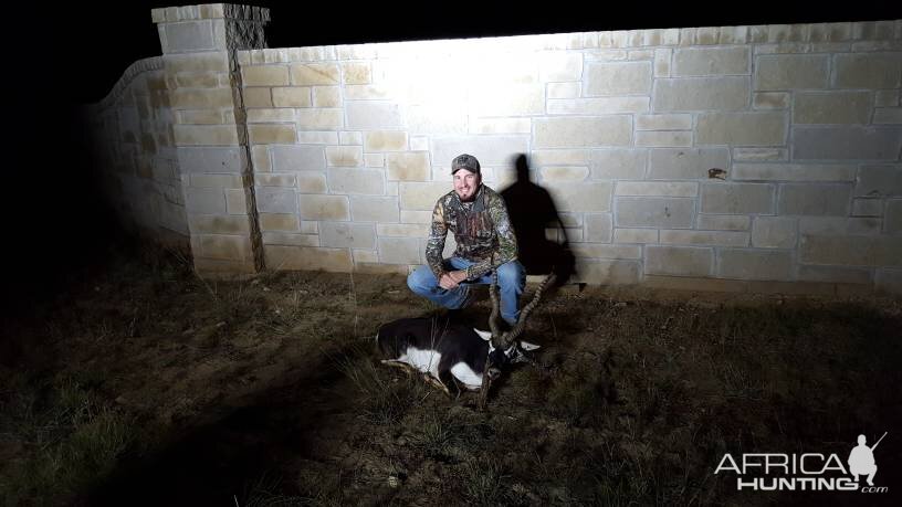 Blackbuck Hunting