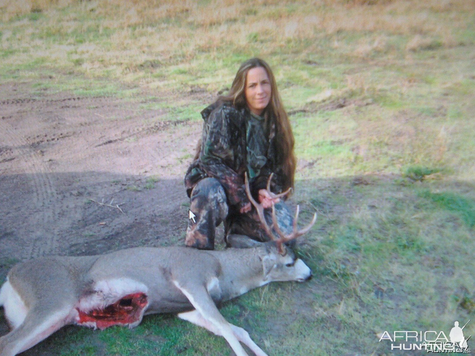 Blacktail Hunting in Oregon