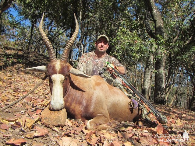 Blesbok Bow Hunt