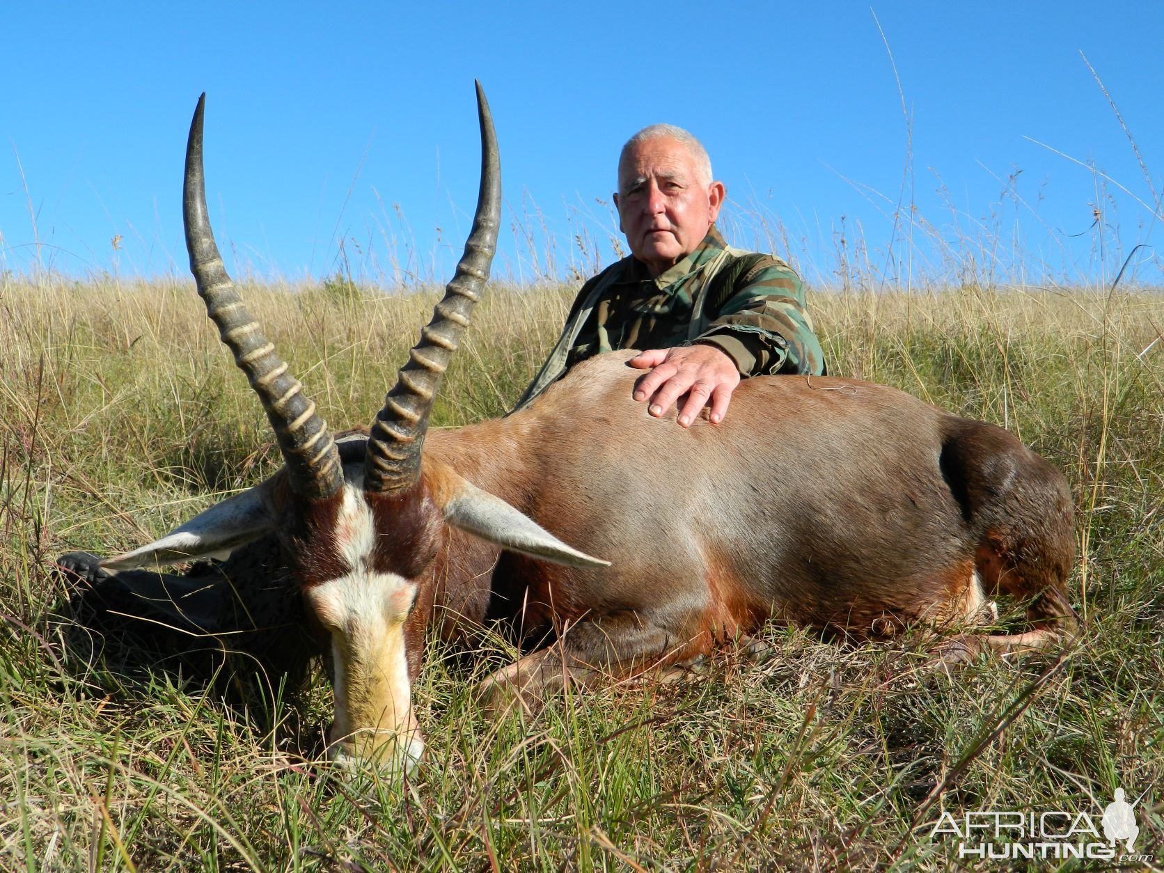 Blesbok Hunt Eastern Cape South Africa