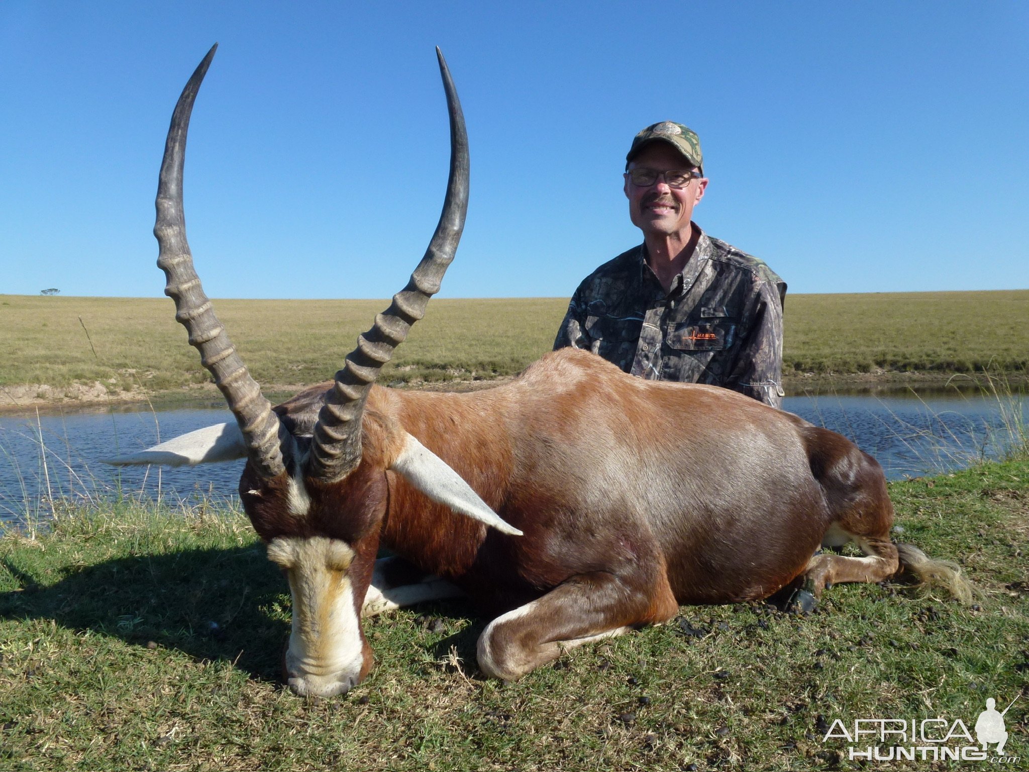 Blesbok Hunt Eastern Cape South Africa