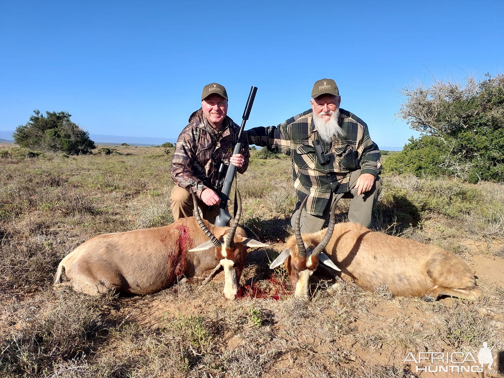 Blesbok Hunt Eastern Cape South Africa