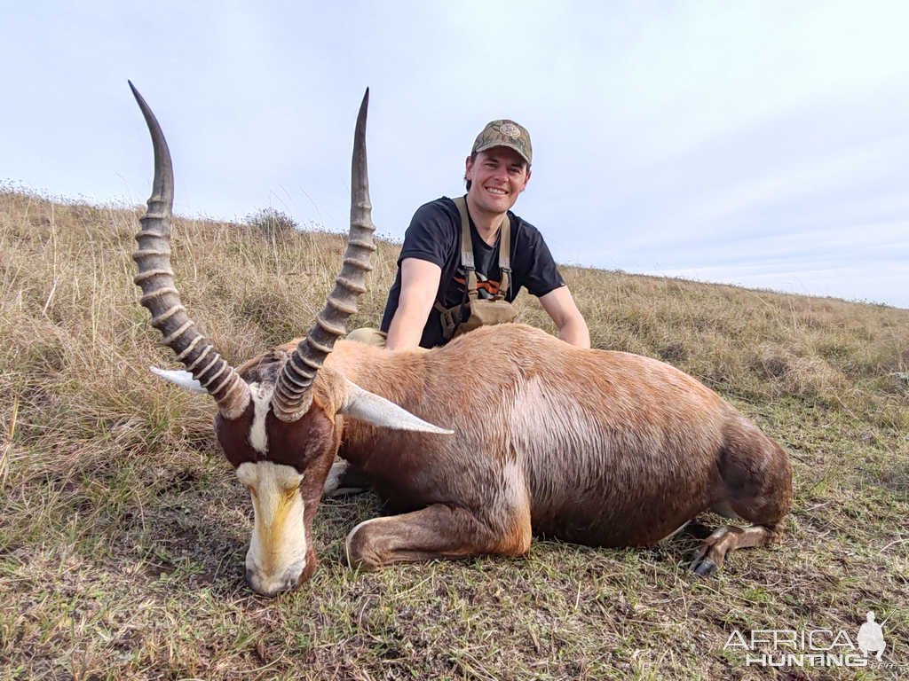 Blesbok Hunt Eastern Cape South Africa