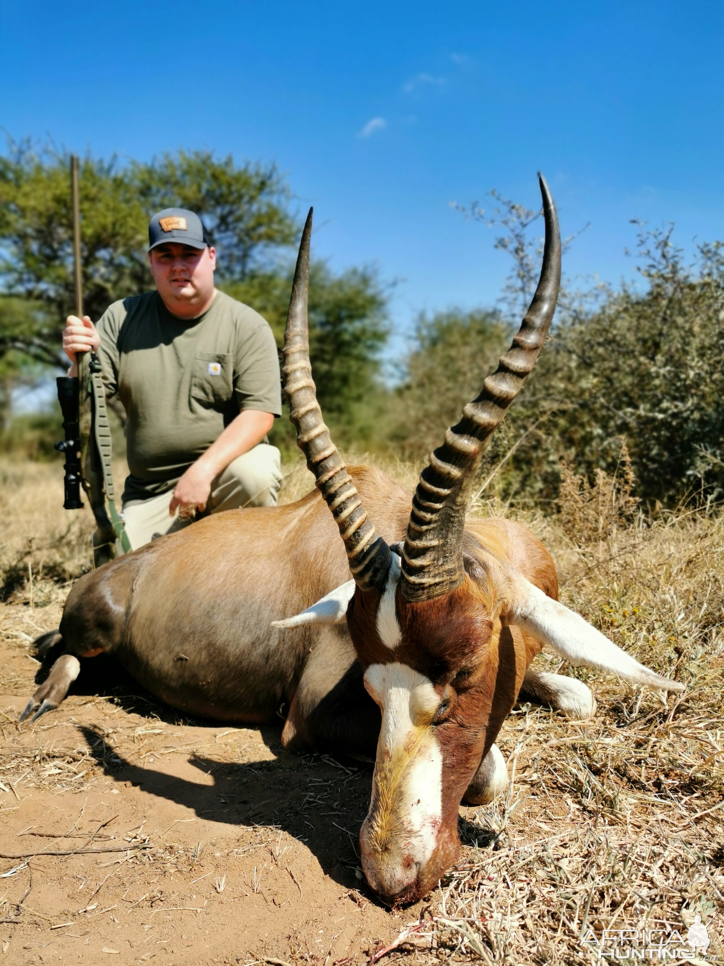 Blesbok Hunt Limpopo South Africa