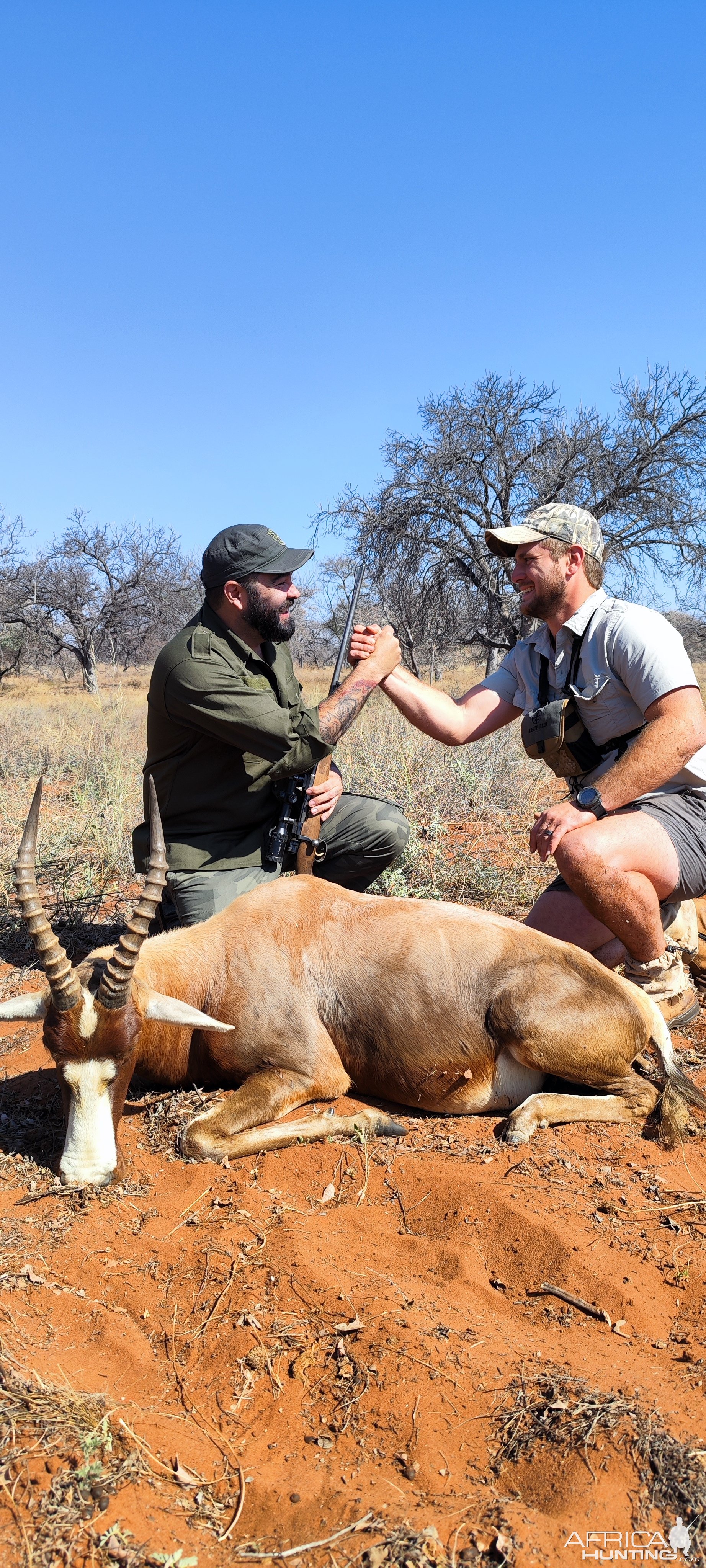 Blesbok Hunt Limpopo South Africa