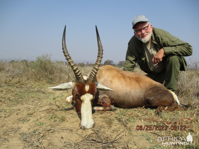 Blesbok Hunt Limpopo South Africa