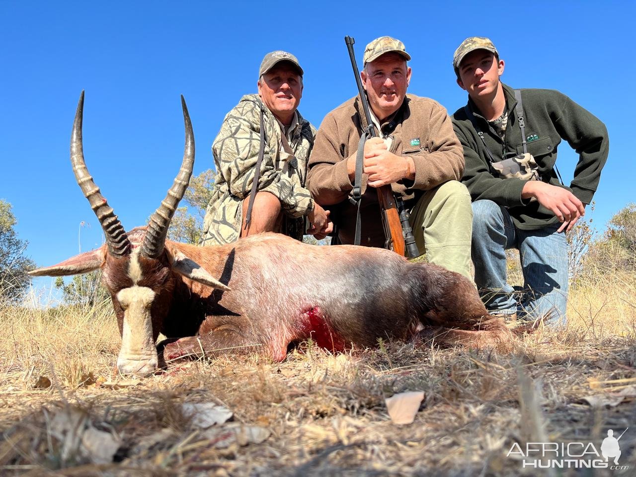 Blesbok Hunt, North West Province