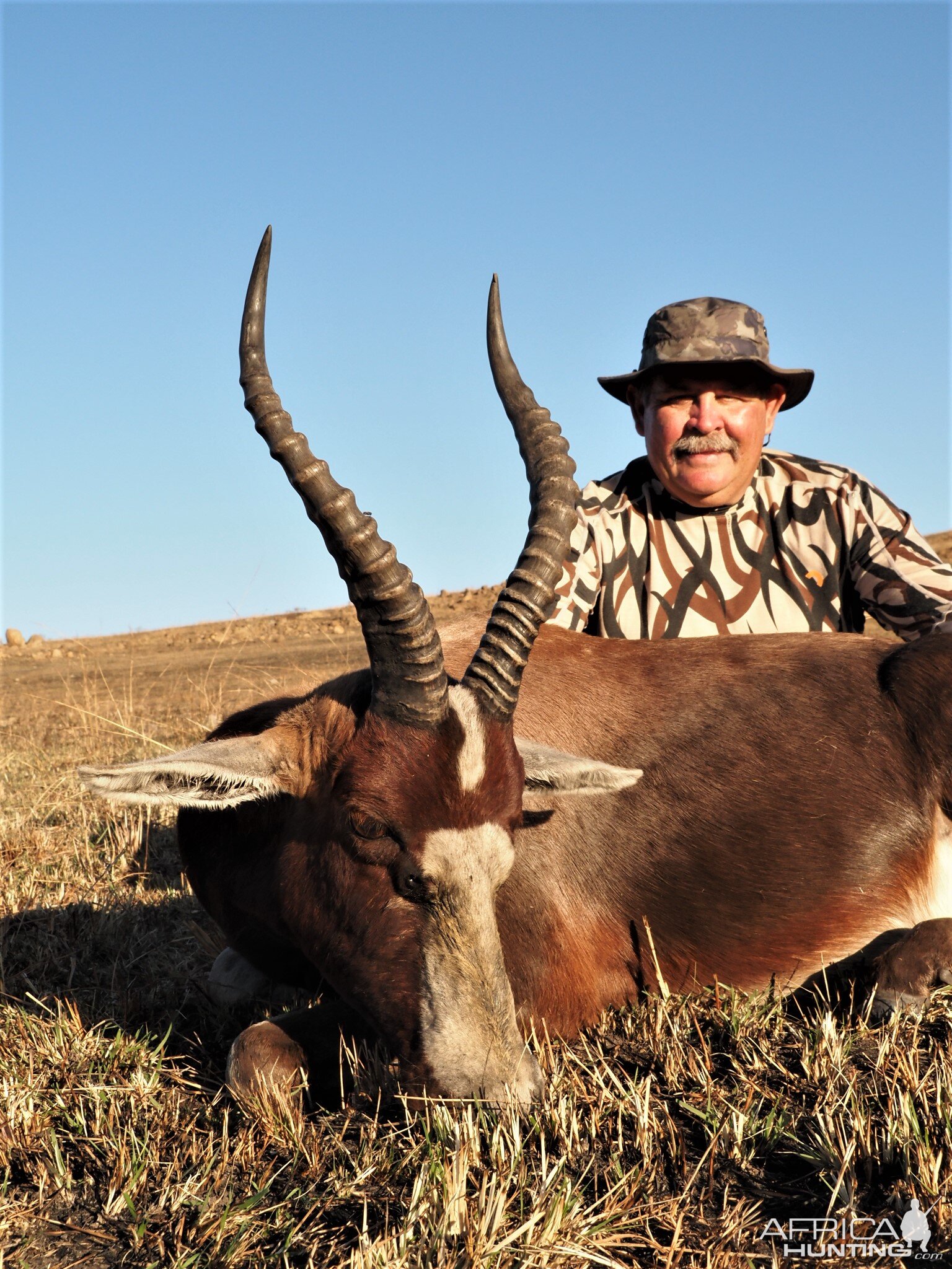 Blesbok Hunt South Africa