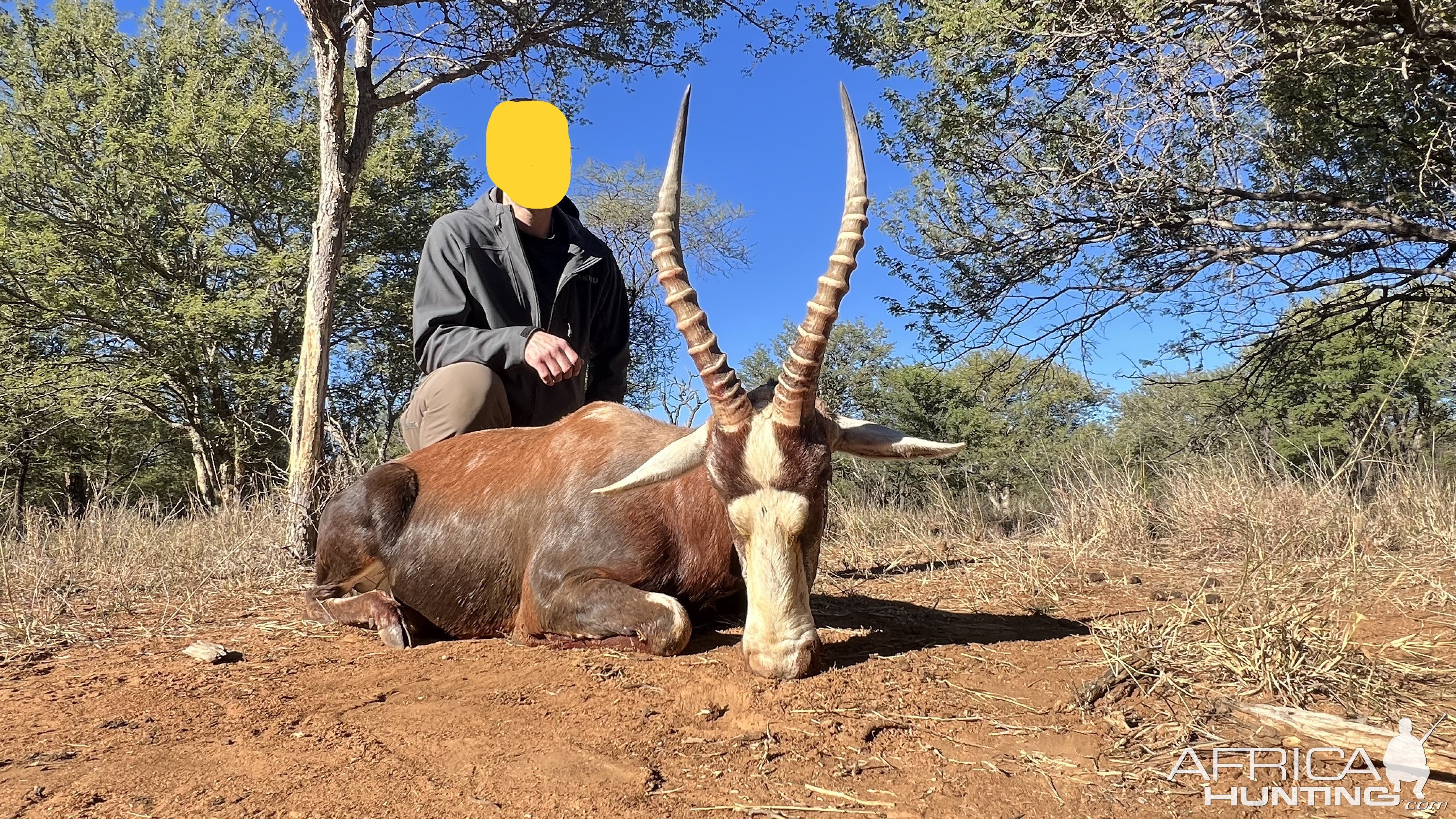 Blesbok Hunt South Africa