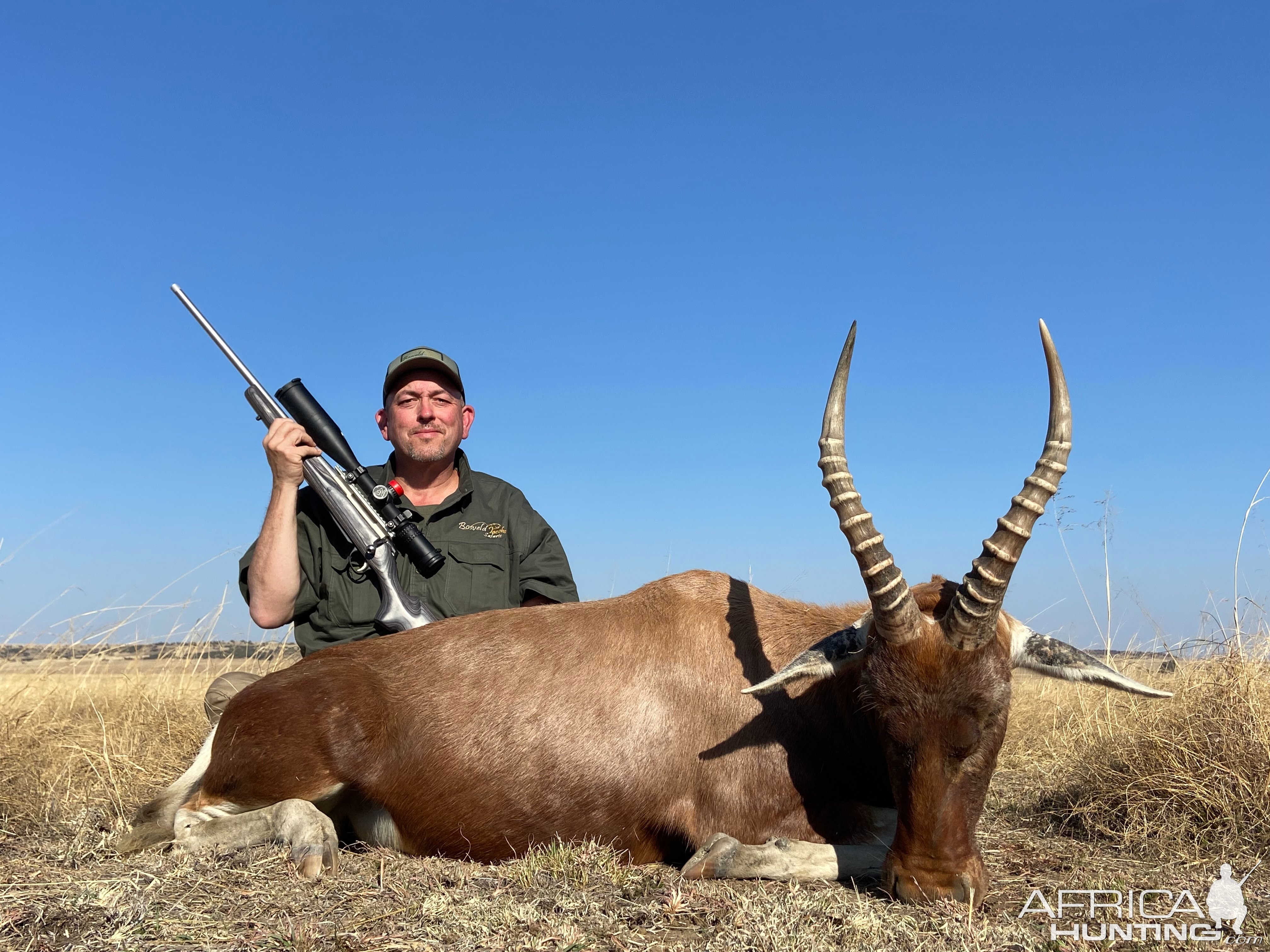 Blesbok Hunt South Africa