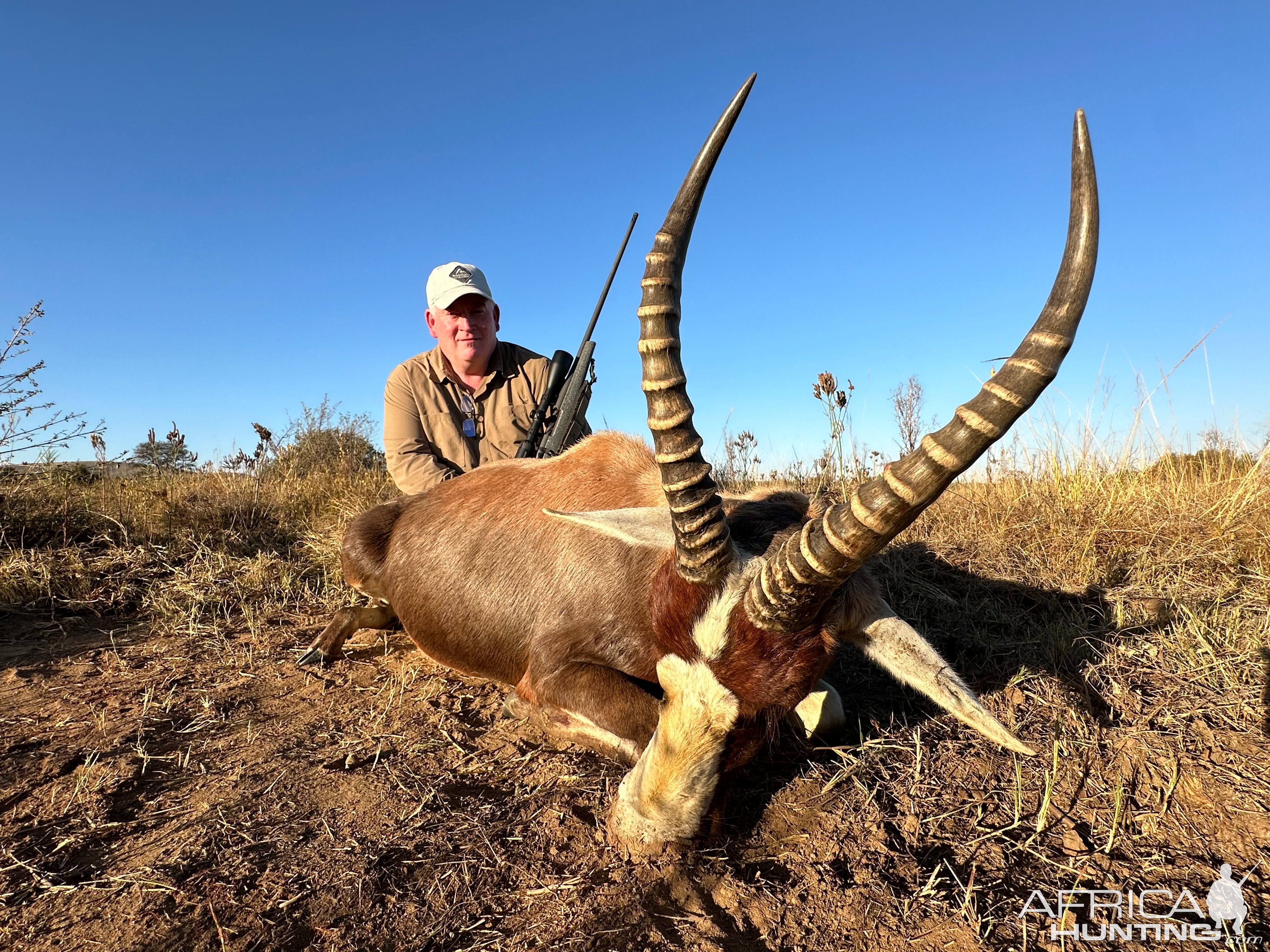 Blesbok Hunt South Africa