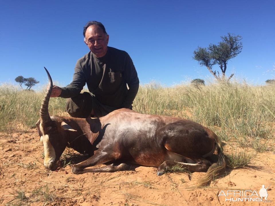 Blesbok Hunt South Africa