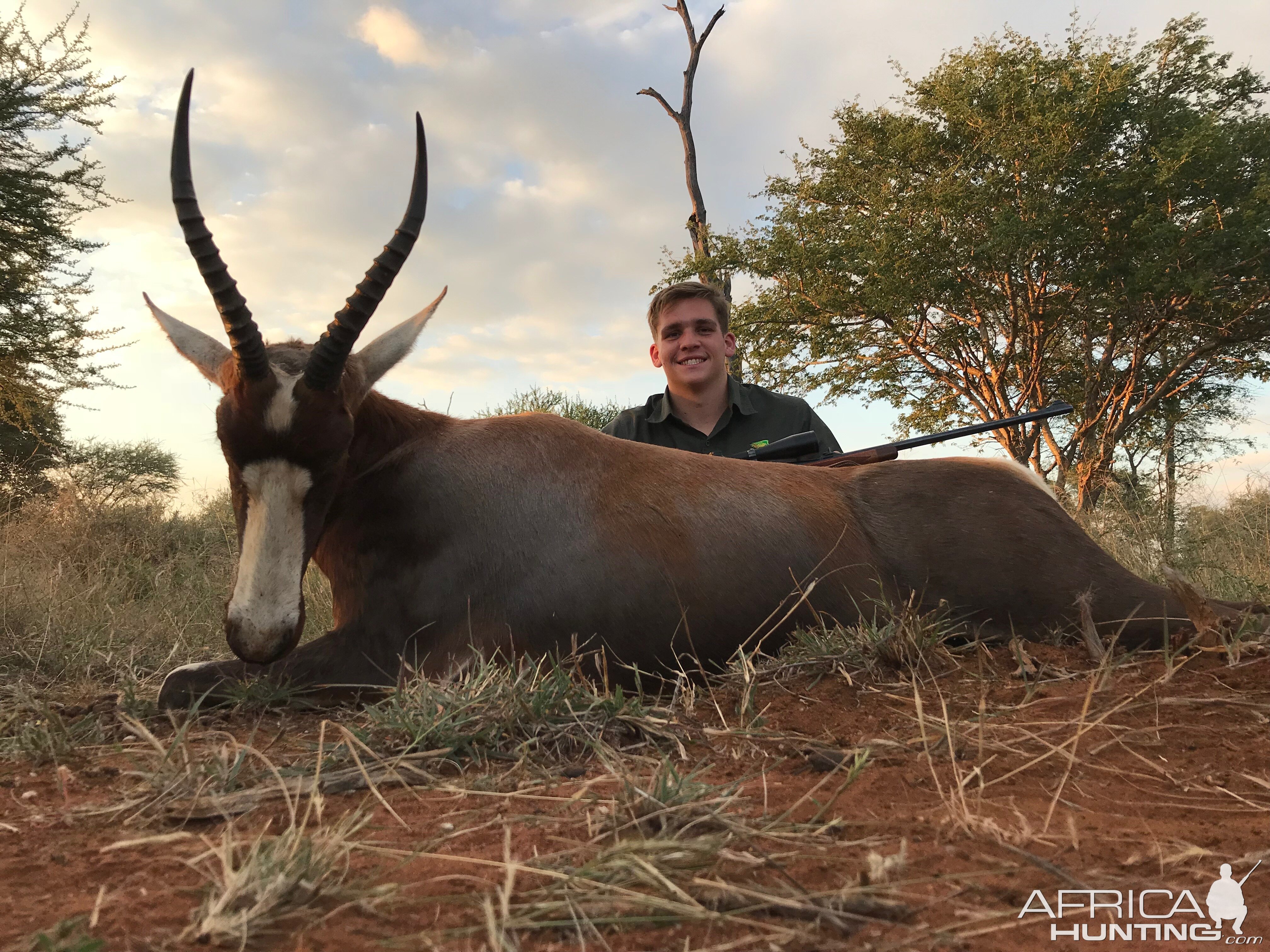 Blesbok Hunt South Africa