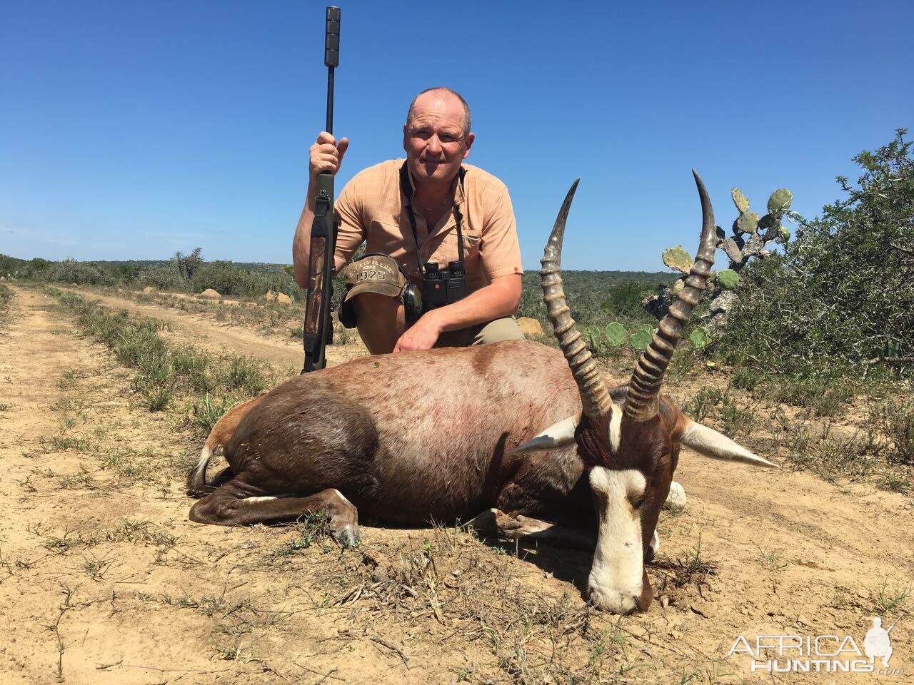 Blesbok Hunt South Africa