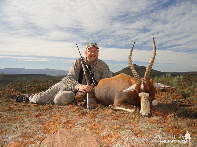 Blesbok Hunt