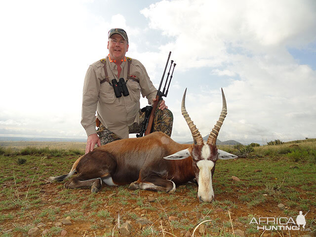 Blesbok Hunt