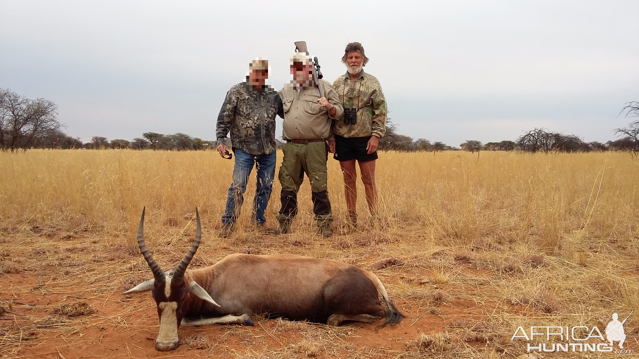 Blesbok Hunt