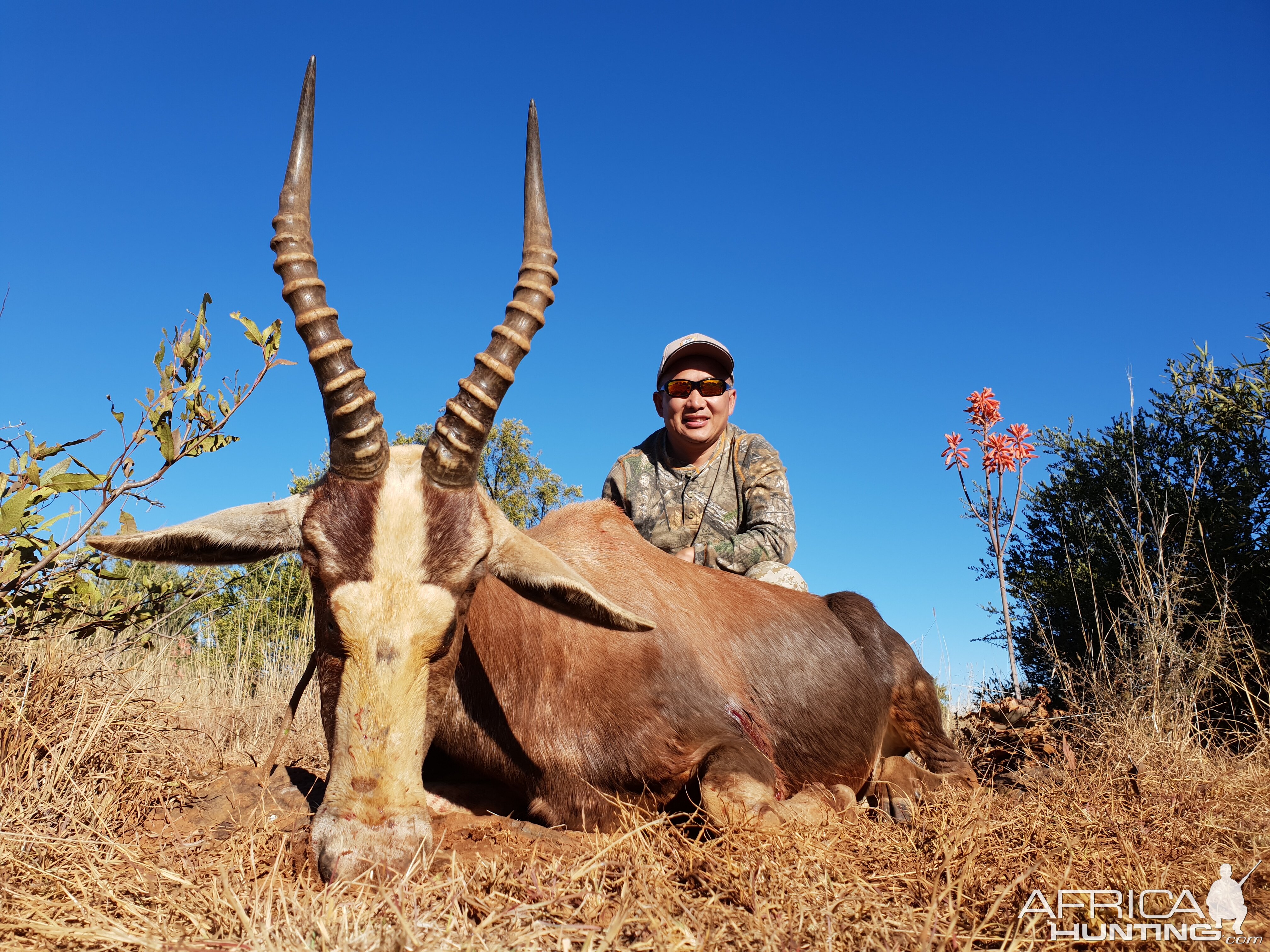 Blesbok Hunting in South Africa