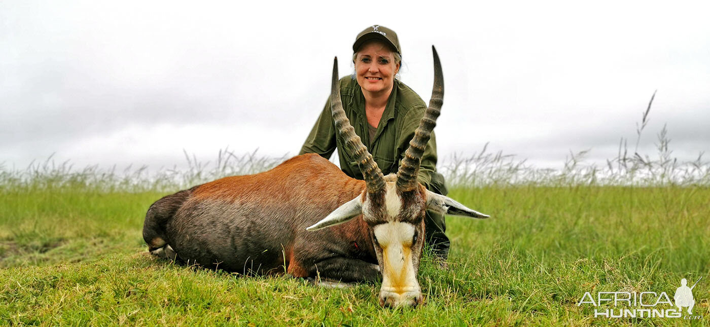 Blesbok Hunting South Africa