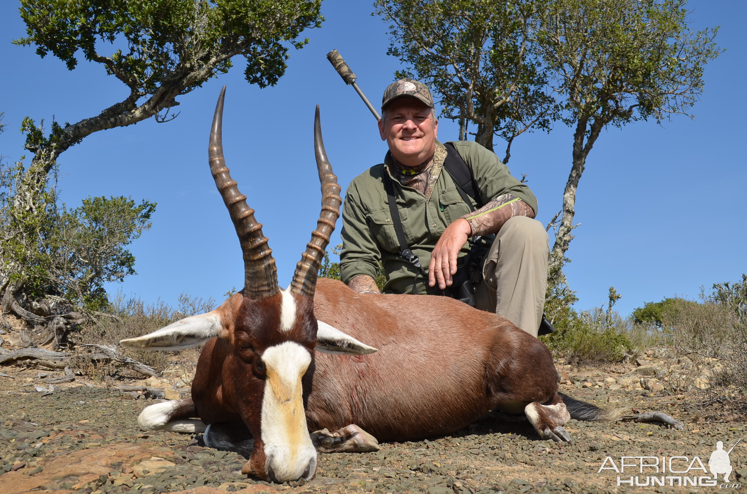 Blesbok Hunting South Africa