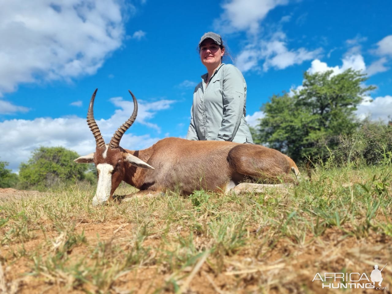 Blesbok Hunting South Africa | AfricaHunting.com