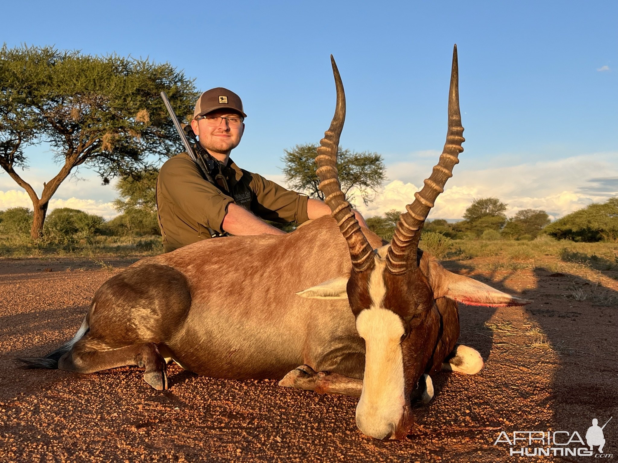 Blesbok Hunting South Africa