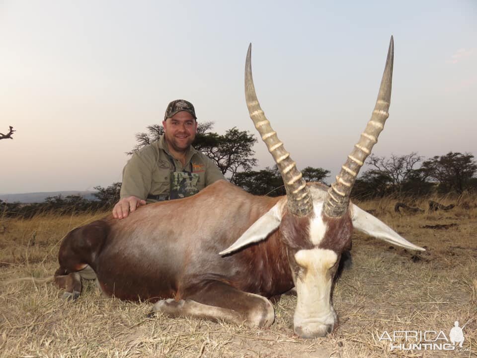 Blesbok Hunting South Africa