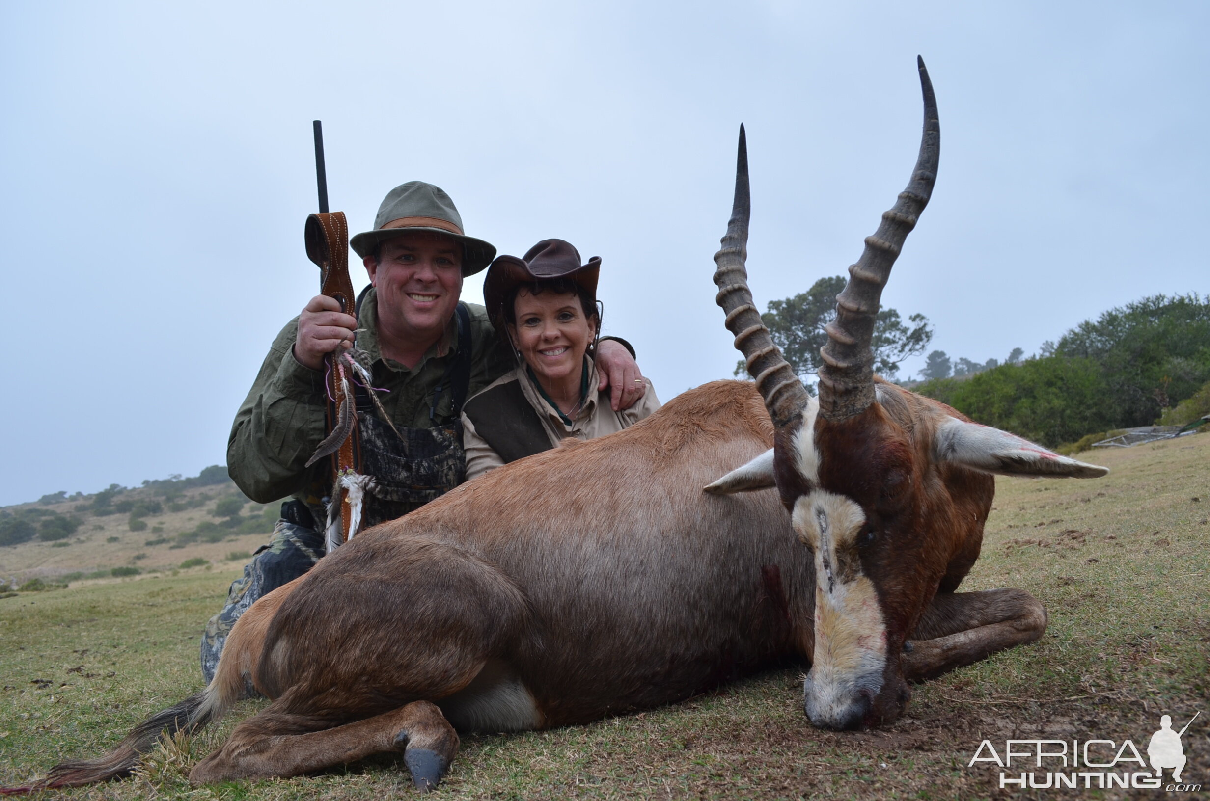 Blesbok KMG Hunting Safaris