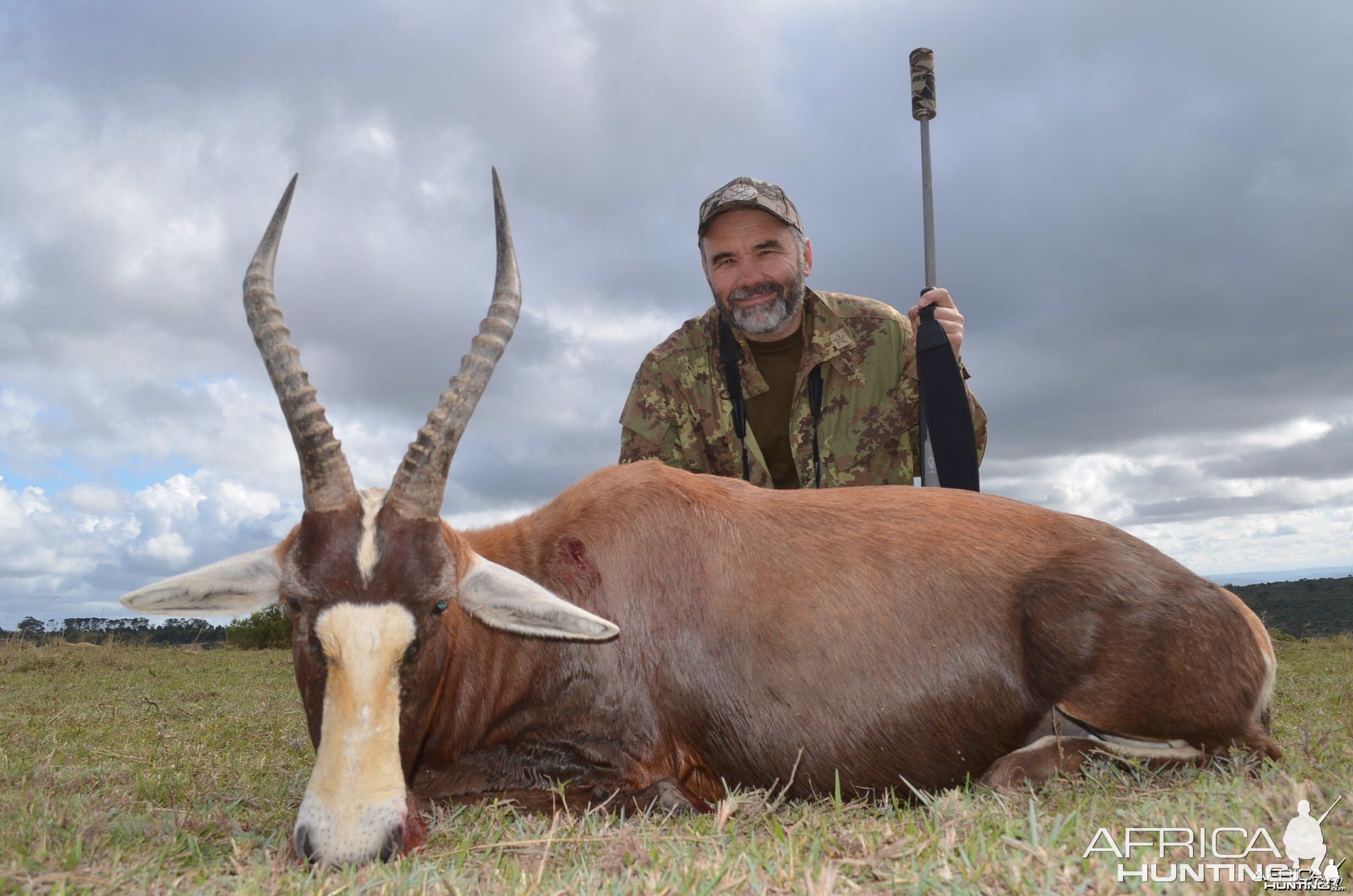 Blesbok KMG Hunting Safaris