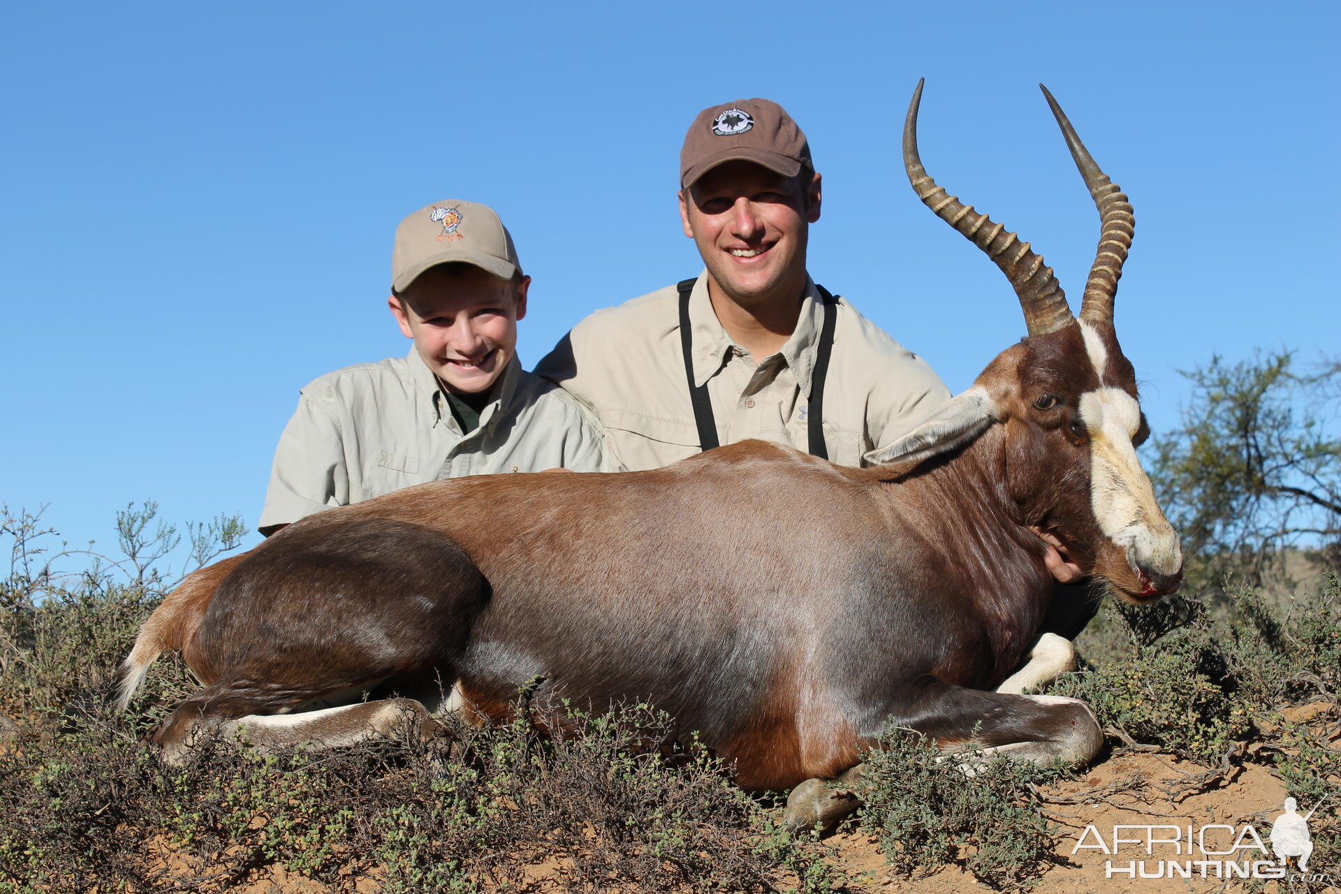 Blesbok taken with Cape Valley Safaris