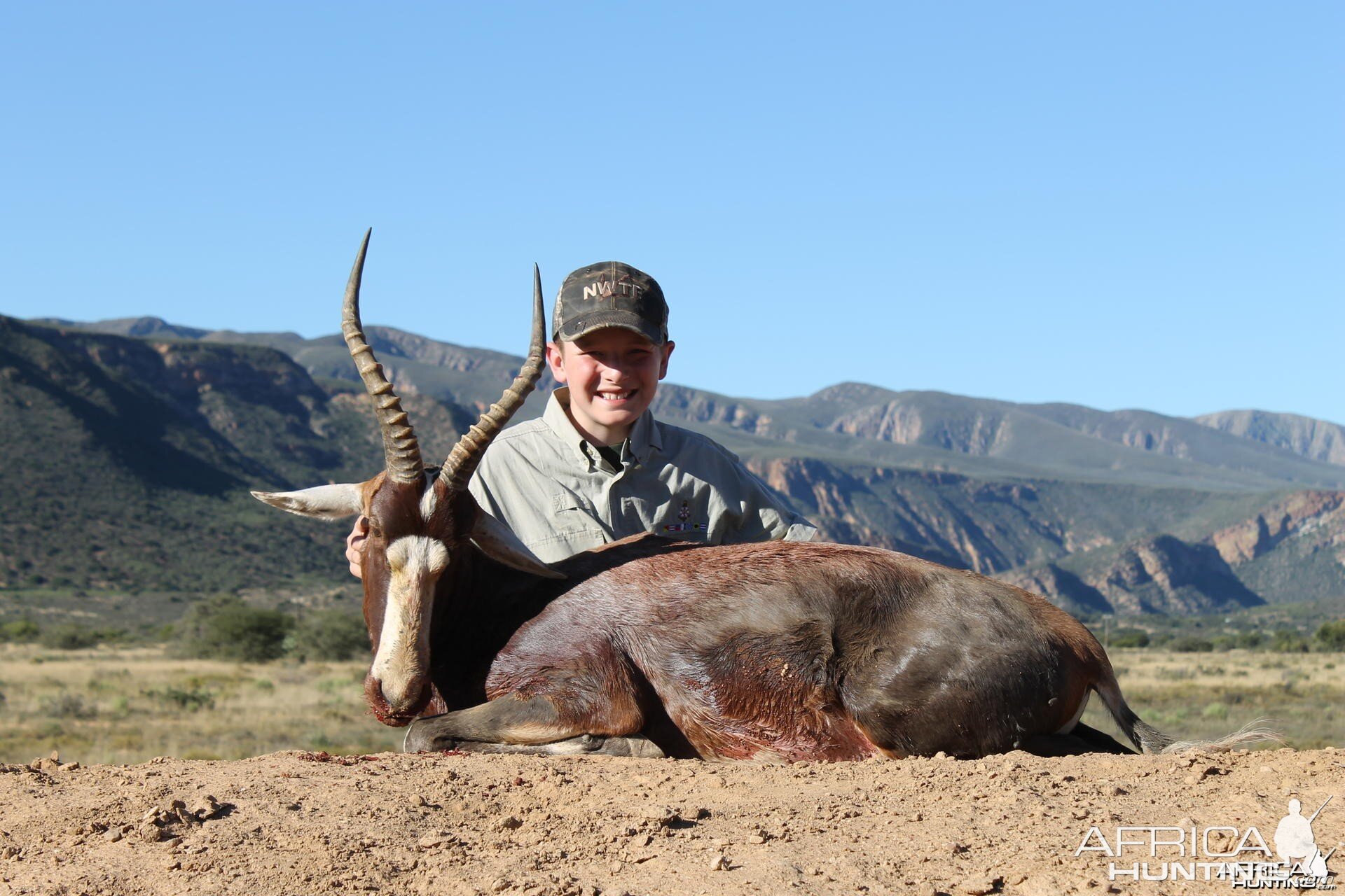 Blesbok taken with Cape Valley Safaris