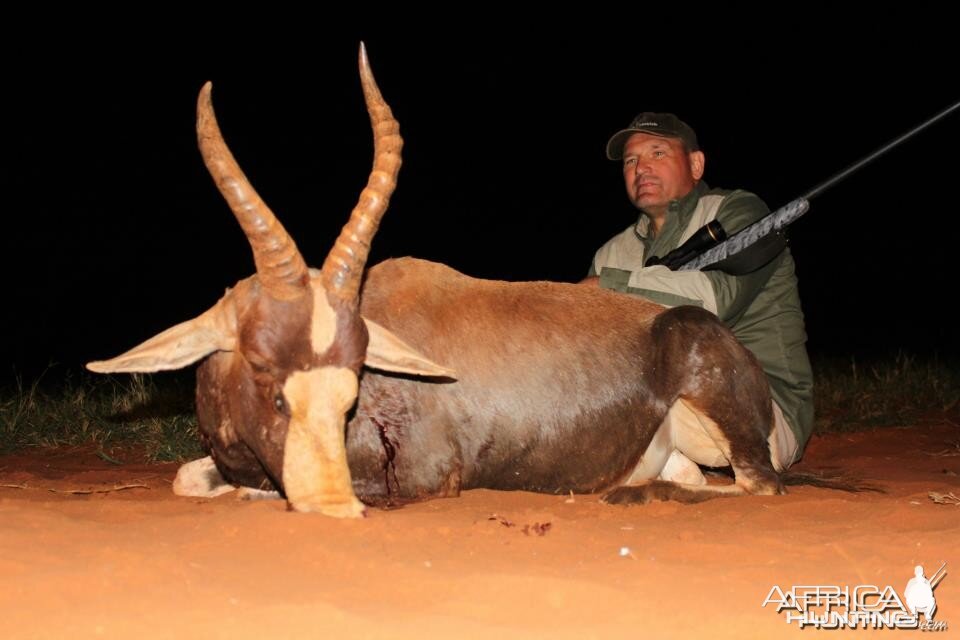 Blesbok