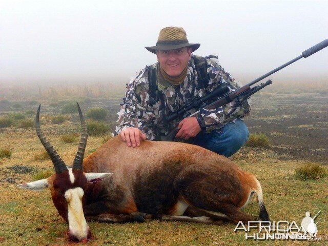 Blesbok