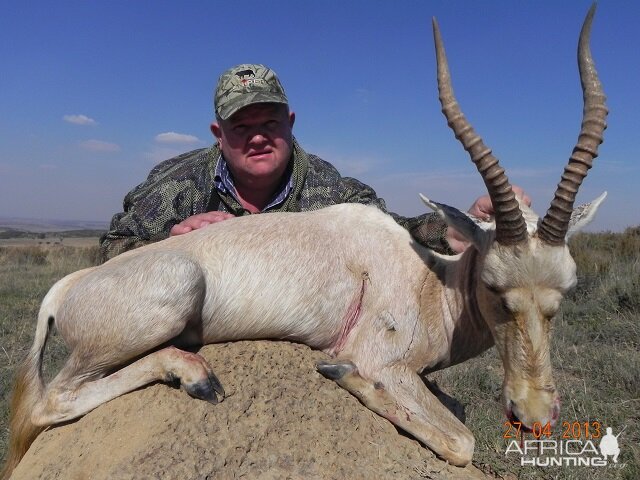 Blesbok